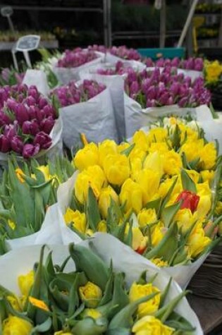 Cover of A Bouquet of Tulips in Holland, for the Love of Flowers