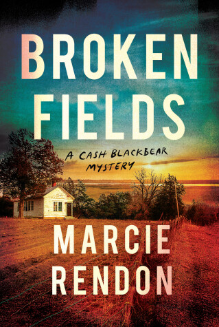Book cover for Broken Fields
