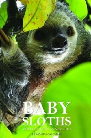 Cover of Baby Sloths Weekly 5 X 8 Planner 2019