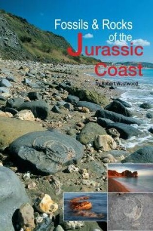 Cover of Fossils and Rocks of the Jurassic Coast