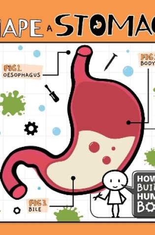 Cover of Shape a Stomach