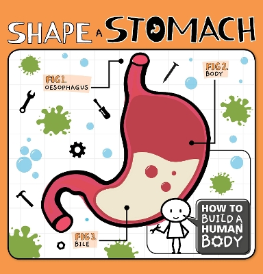 Cover of Shape a Stomach