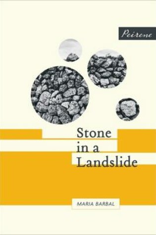 Cover of Stone in a Landslide