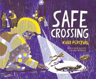 Book cover for Safe Crossing