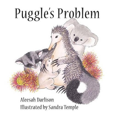 Book cover for Puggles Problems