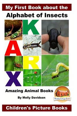 Book cover for My First Book about the Alphabet of Insects - Amazing Animal Books - Children's Picture Books