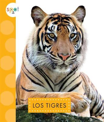 Book cover for Los Tigres