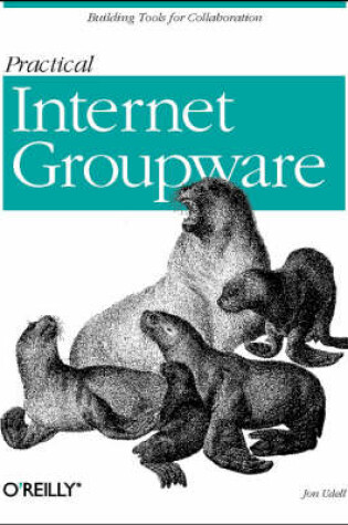 Cover of Practical Internet Groupware