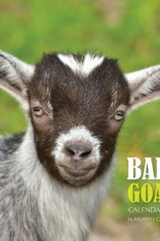 Cover of Baby Goats Calendar 2020