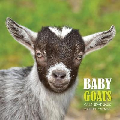 Book cover for Baby Goats Calendar 2020