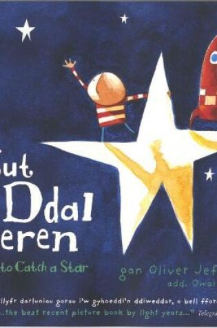 Cover of Sut i Ddal Seren / How to Catch a Star