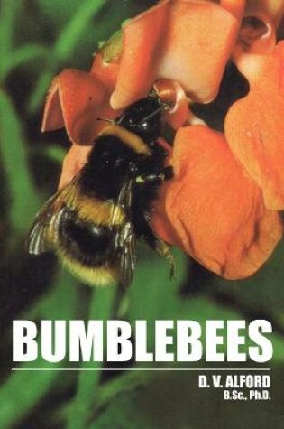 Cover of Bumble Bees