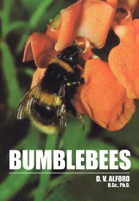 Book cover for Bumble Bees
