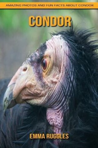 Cover of Condor