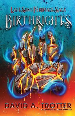 Book cover for Birthrights