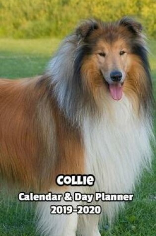 Cover of Collie Calendar & Day Planner 2019-2020