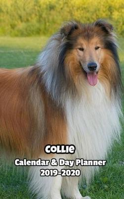 Book cover for Collie Calendar & Day Planner 2019-2020