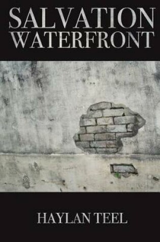 Cover of Salvation Waterfront