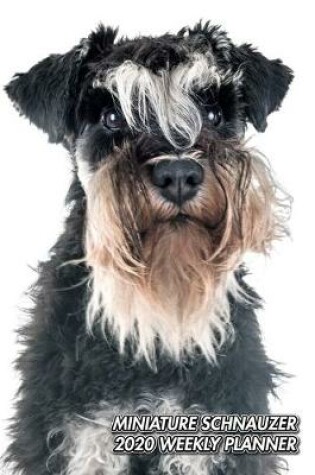 Cover of Miniature Schnauzer 2020 Weekly Planner