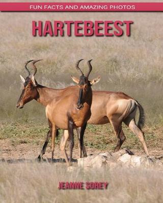 Book cover for Hartebeest