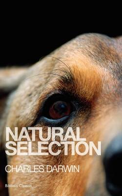 Book cover for Natural Selection