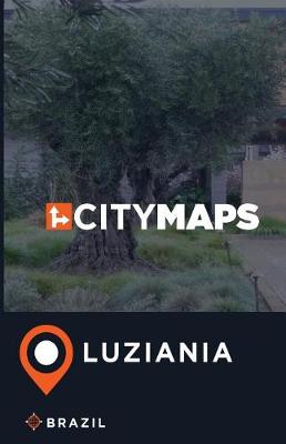 Book cover for City Maps Luziania Brazil