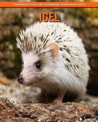 Book cover for Igel