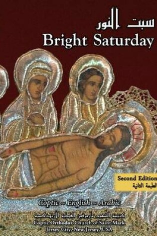 Cover of Bright Saturday