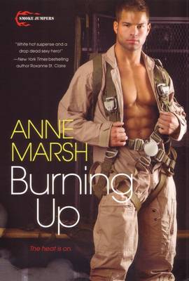 Book cover for Burning Up