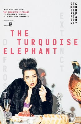 Book cover for The Turquoise Elephant