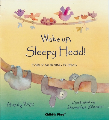 Book cover for Wake Up, Sleepy Head!