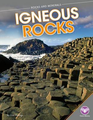 Book cover for Igneous Rocks