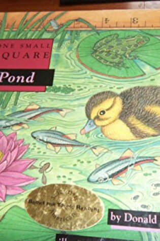 Cover of Pond