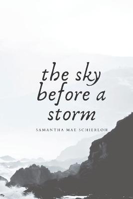 Book cover for The Sky Before A Storm