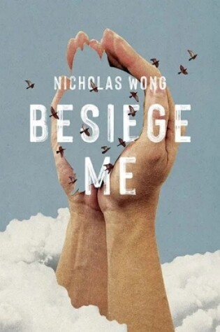 Cover of Besiege Me