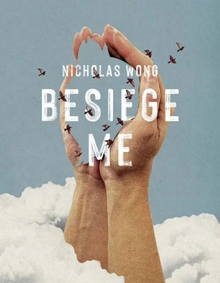 Book cover for Besiege Me