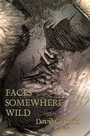 Cover of Faces Somewhere Wild