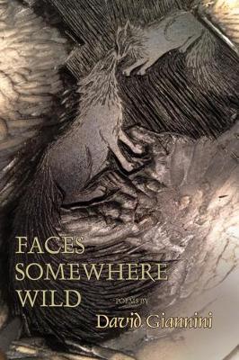 Book cover for Faces Somewhere Wild