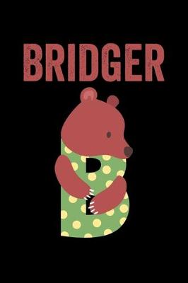 Book cover for Bridger