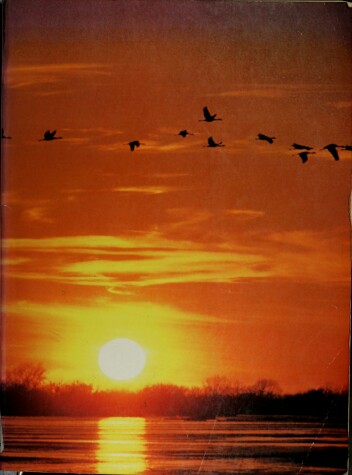 Book cover for Ecosystems, Energy, Population