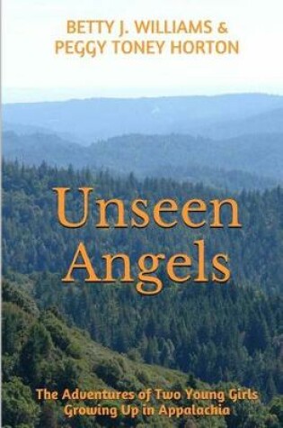 Cover of Unseen Angels