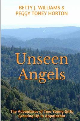 Book cover for Unseen Angels