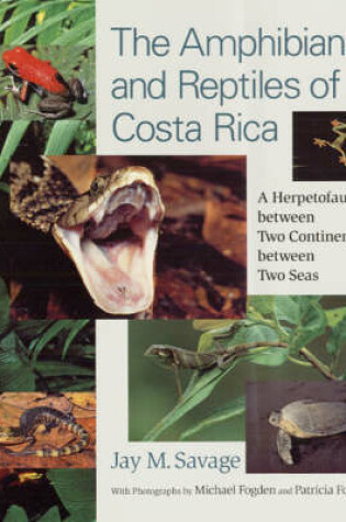 Cover of The Amphibians and Reptiles of Costa Rica