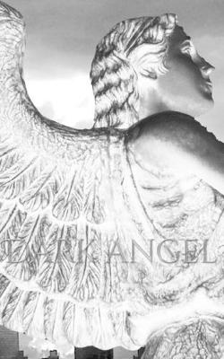 Book cover for Dark Angel Writing Drawing Journal