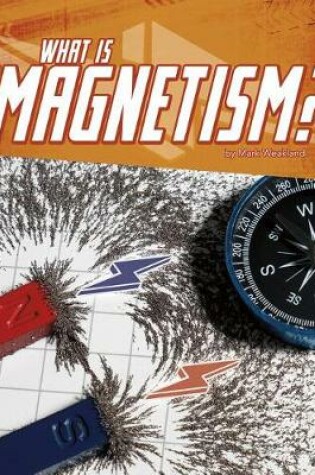 Cover of What is Magnetism? First Facts