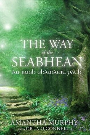 Cover of The Way of the Seabhean