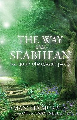 Cover of The Way of the Seabhean