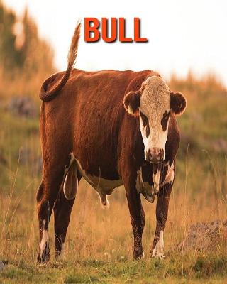 Book cover for Bull