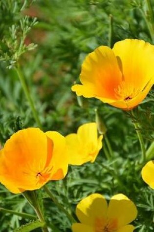 Cover of Pretty Iceland Poppy Flowers Journal