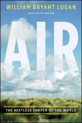 Book cover for Air